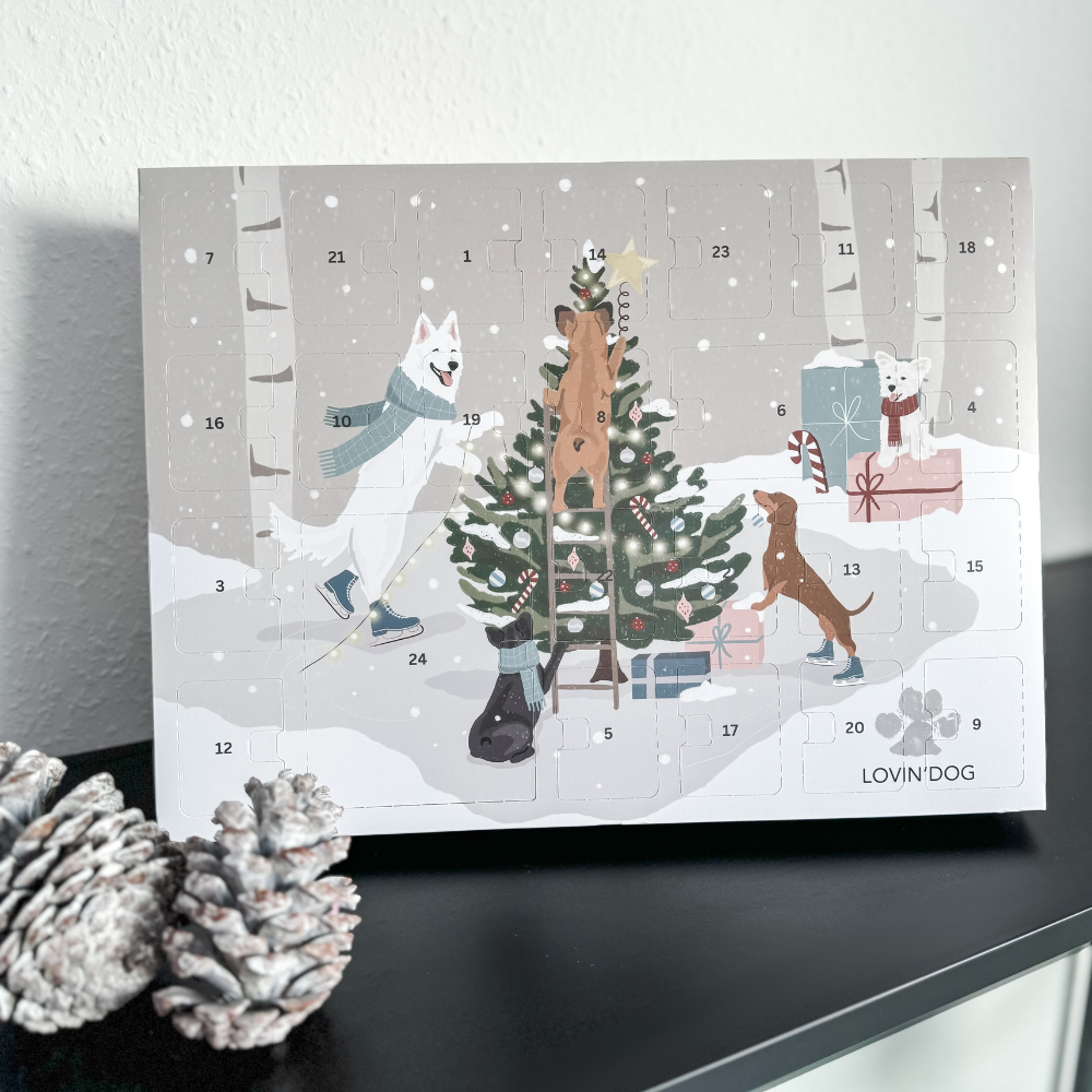 Titelbild Blog-Beitrag "Adventskalender für Hunde" - LOVIN'DOG