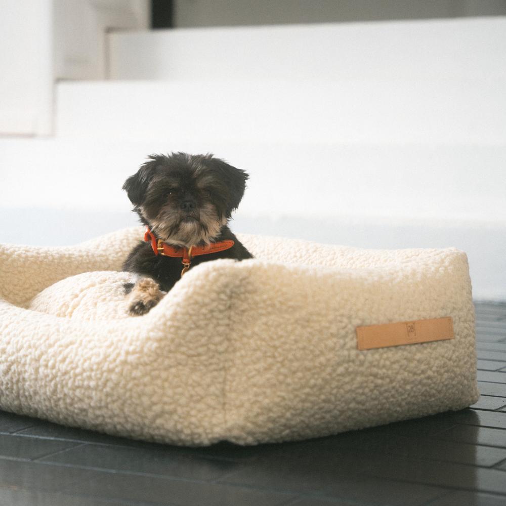 hundebett klein FINNTO Orthopdisches Hundebett | 95C waschbar