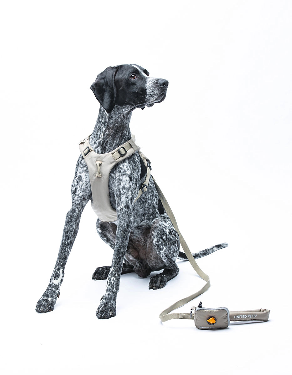 Hundeleine mit gepolstertem Griff - 1.40 m