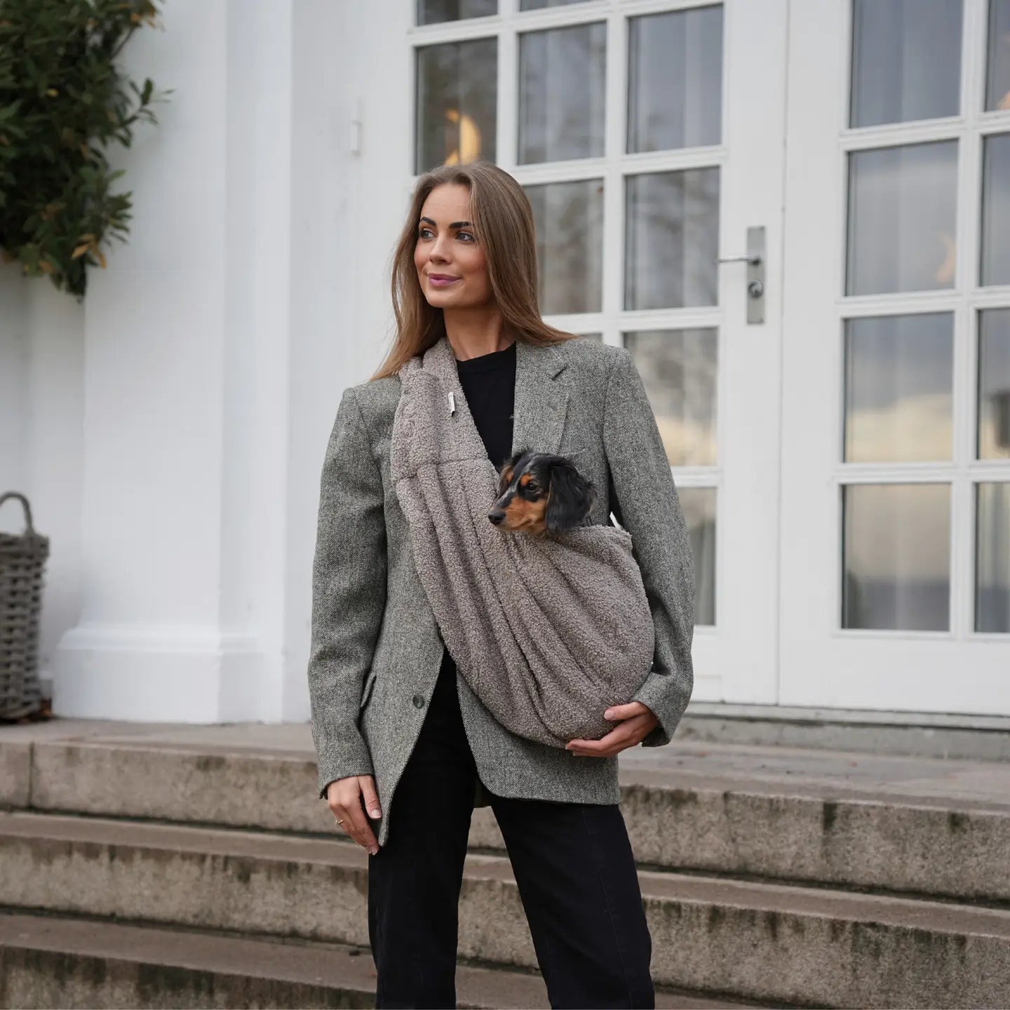 Staey Hundetragetasche AVA Teddy Beige