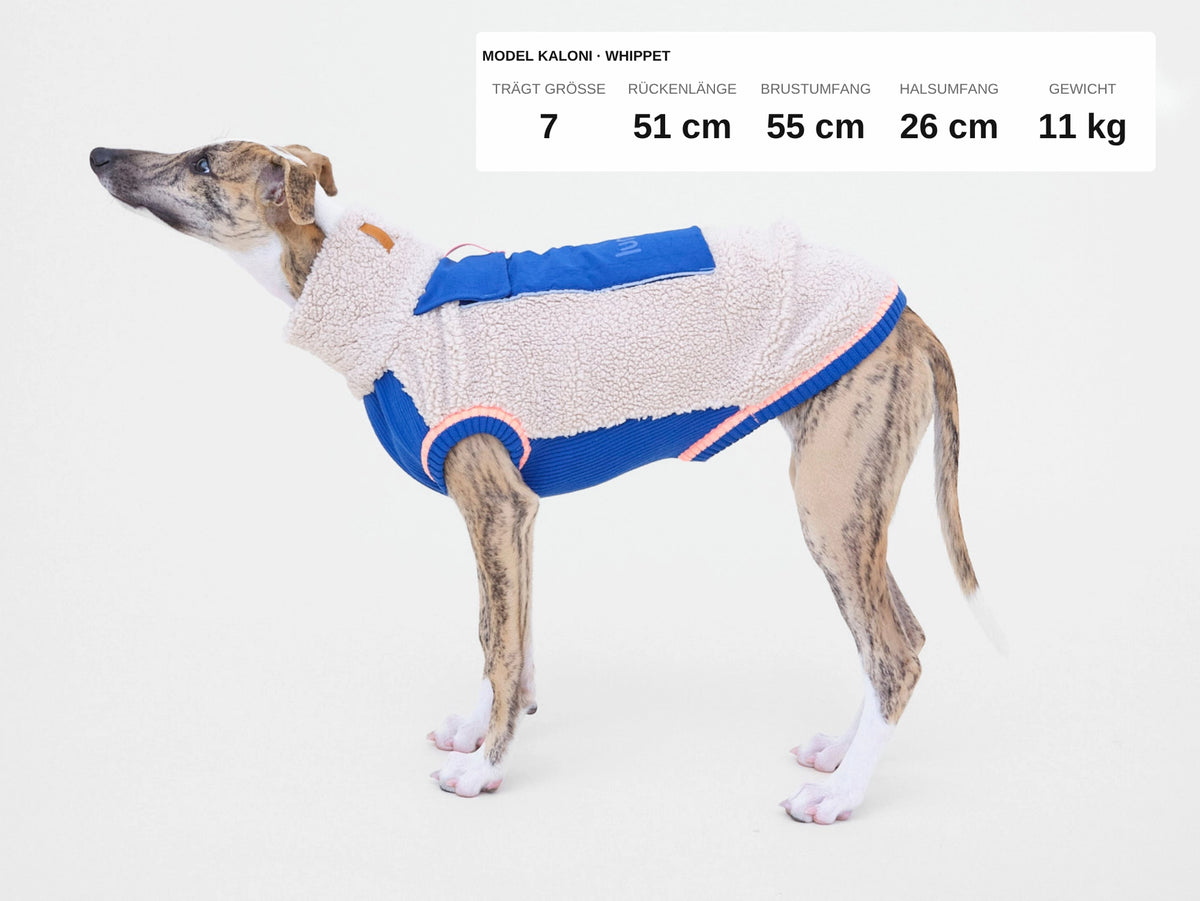 lumiies® Sport Racer Hundepullover aus Teddy-Sherpa-Fleece Royal Alpine