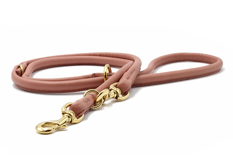 Hundeleine Leder rundgenäht Altrosa Gold