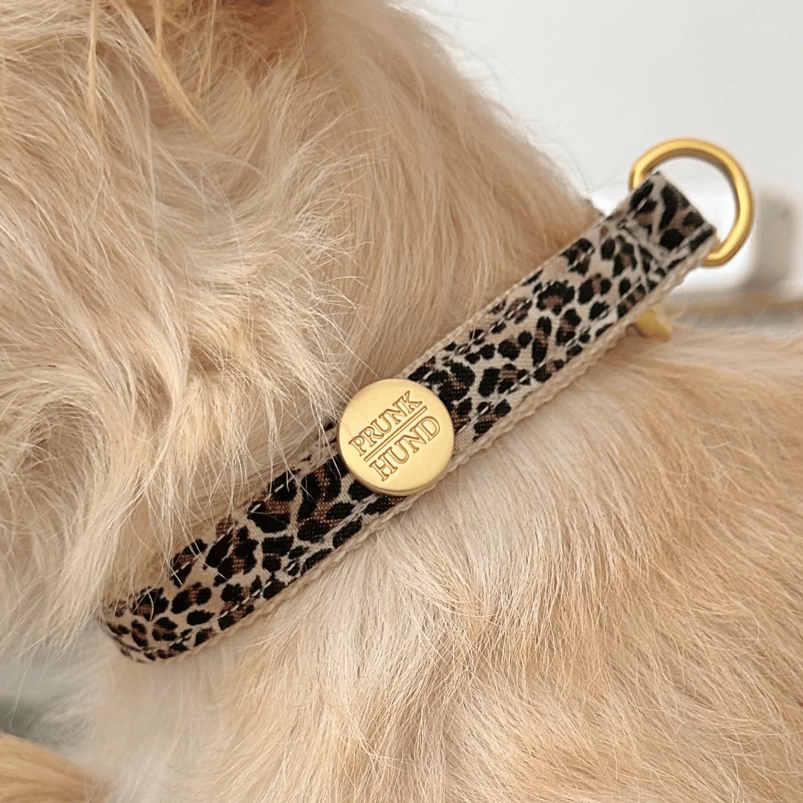 Prunkhund Zugstopp Halsband