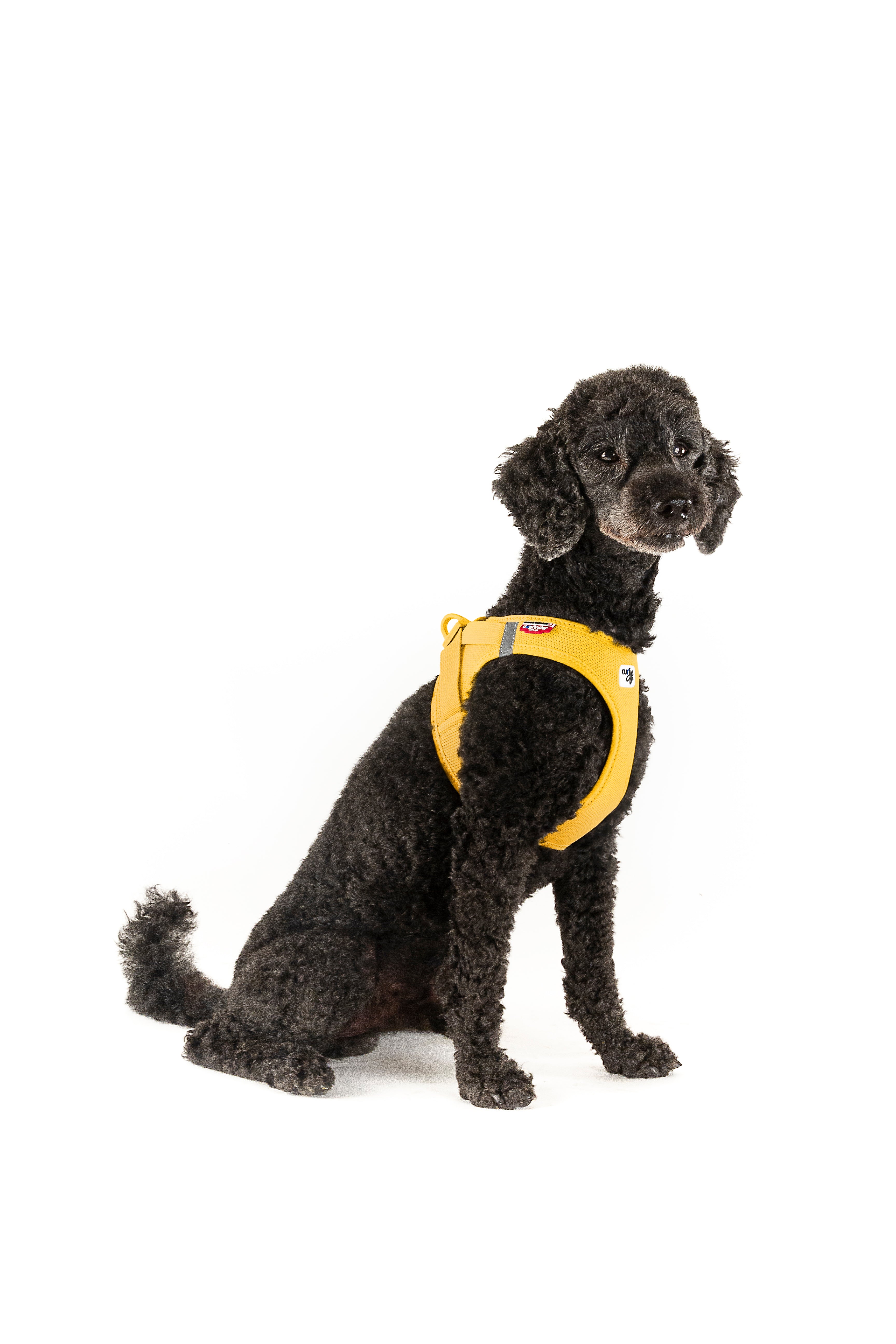 Hundegeschirr VEST HARNESS CURLI SCHNALLE AIR-MESH Mango
