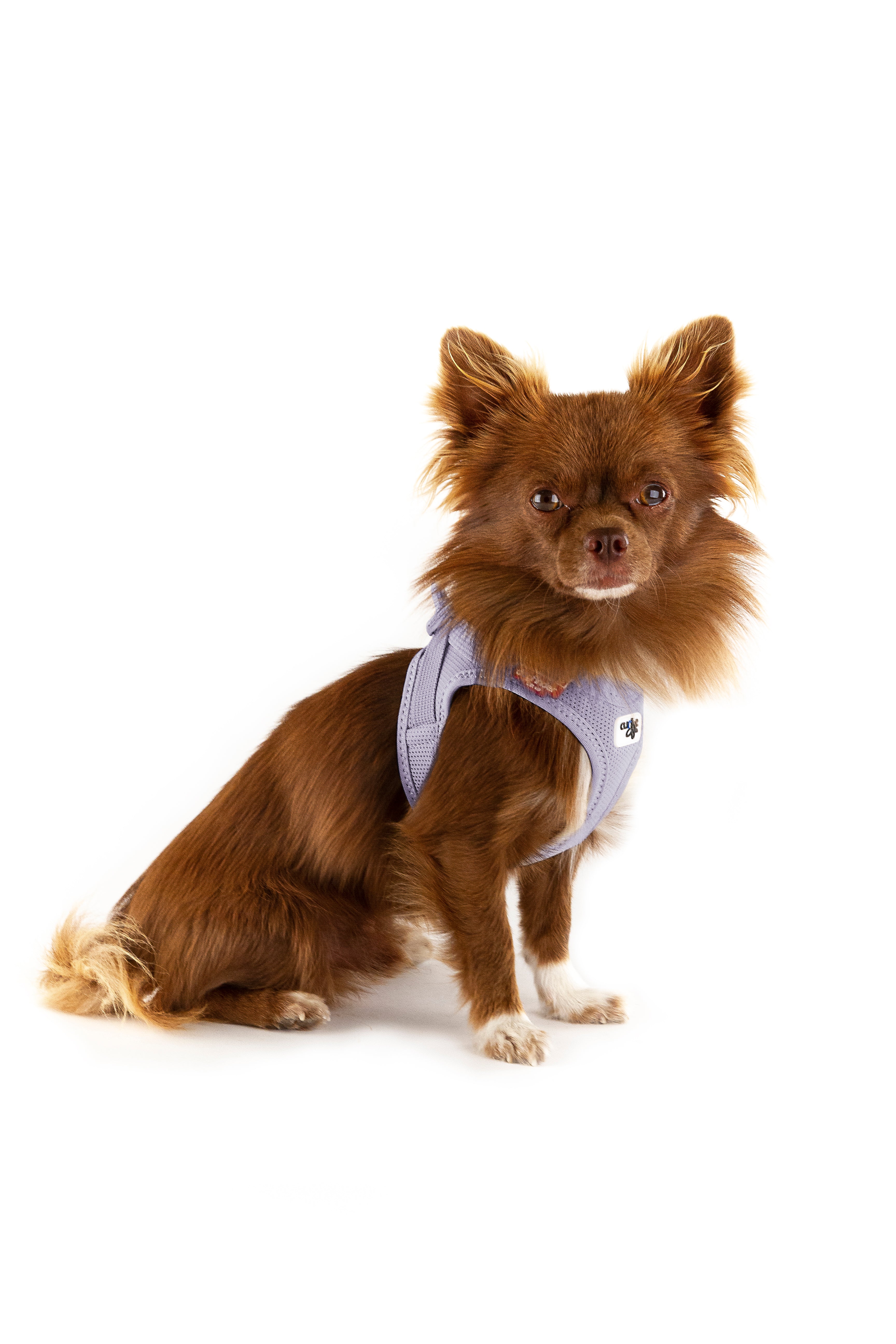 Hundegeschirr VEST HARNESS CURLI SCHNALLE AIR-MESH Lilac