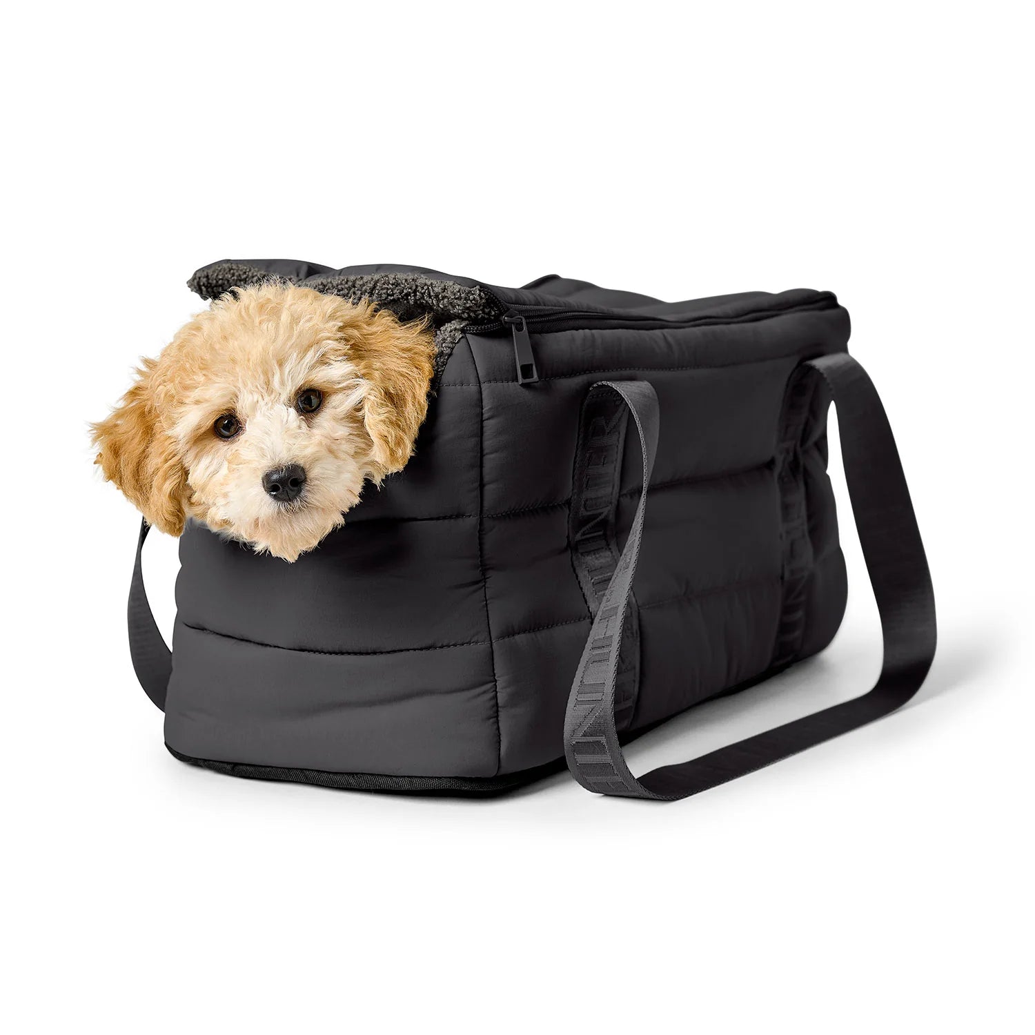 2-in-1 Hundetasche & Decke SEOUL Schwarz