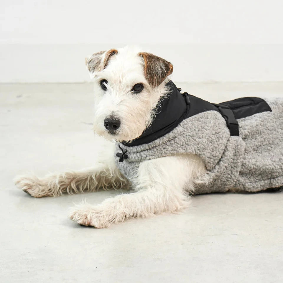 MiaCara Hundemantel Emilia