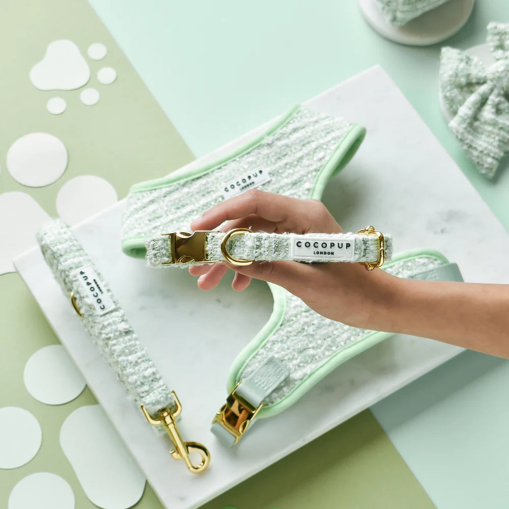 Halsband Coco Tweed Matcha - COCOPUP London