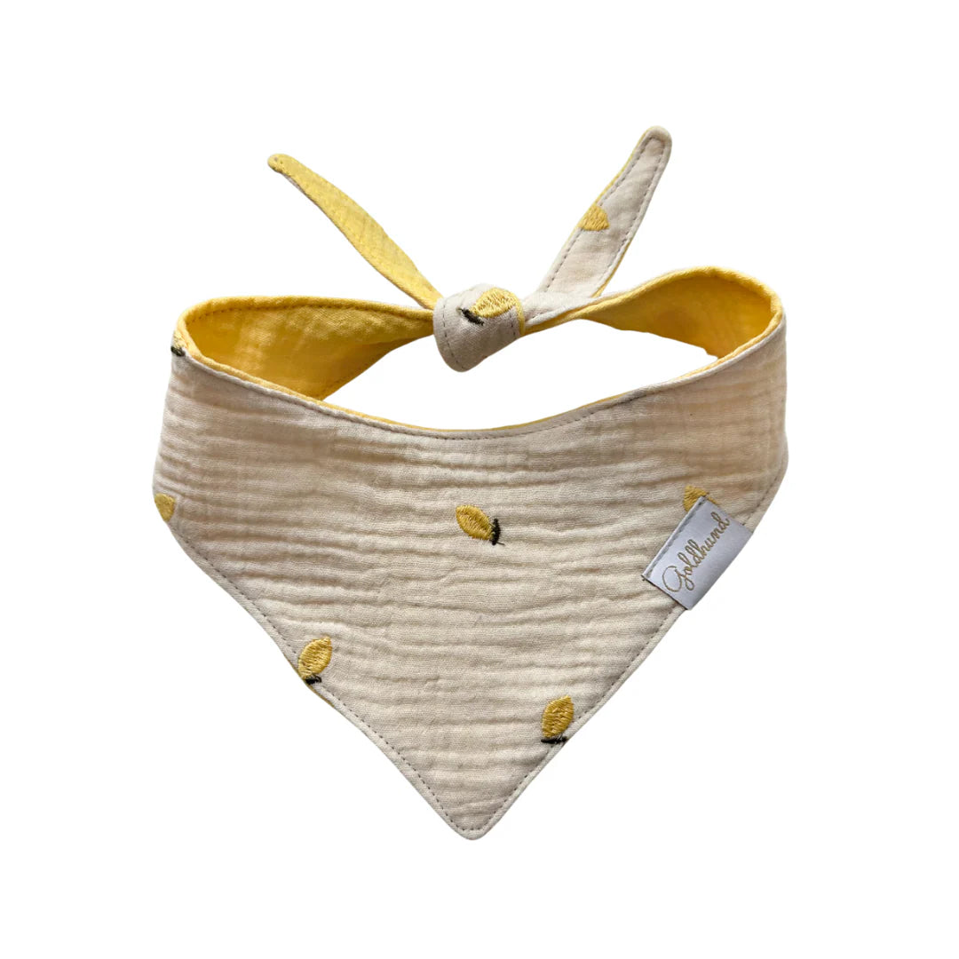 Goldhund Hundehalstuch Musselin Lemon