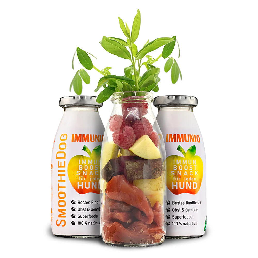 SmoothieDog IMMUNIO Rind