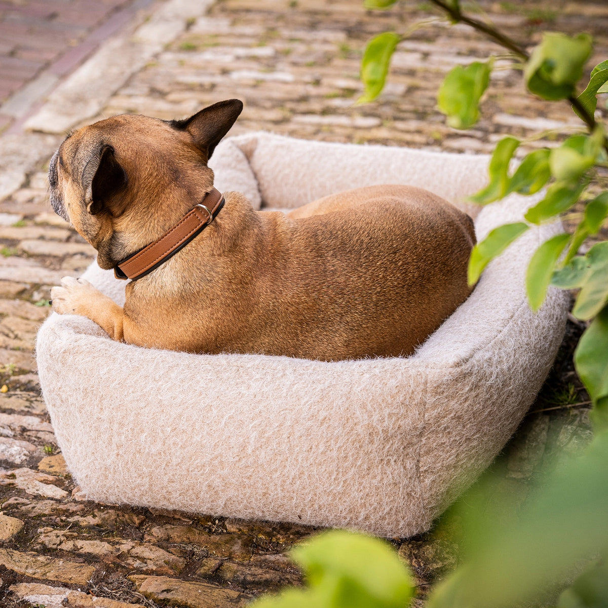 Hundebett FELTRO Beige Walkfilz-Optik