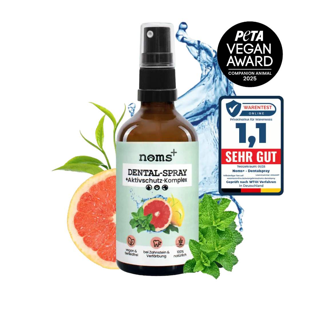 noms+ Dental-Spray bei Zahnstein