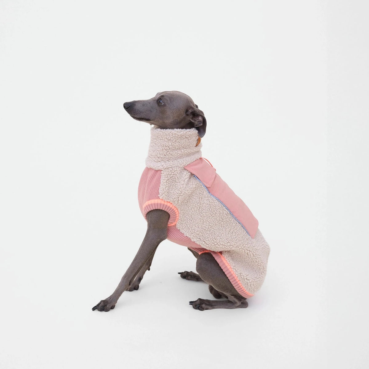 lumiies® Sport Racer Hundepollover aus Teddy-Sherpa-Fleece
