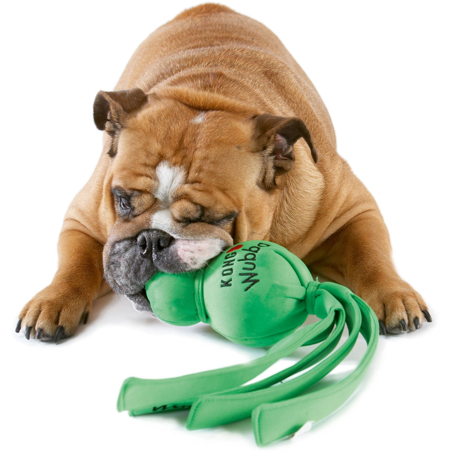 Hundespielzeug KONG® WUBBA™ WET L = 35,5 cm