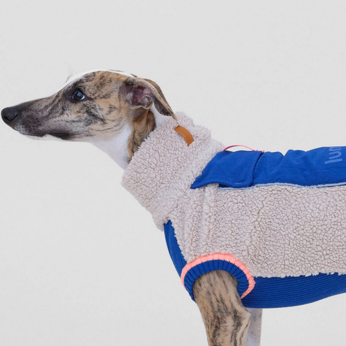 lumiies® Sport Racer Hundepullover aus Teddy-Sherpa-Fleece Royal Alpine