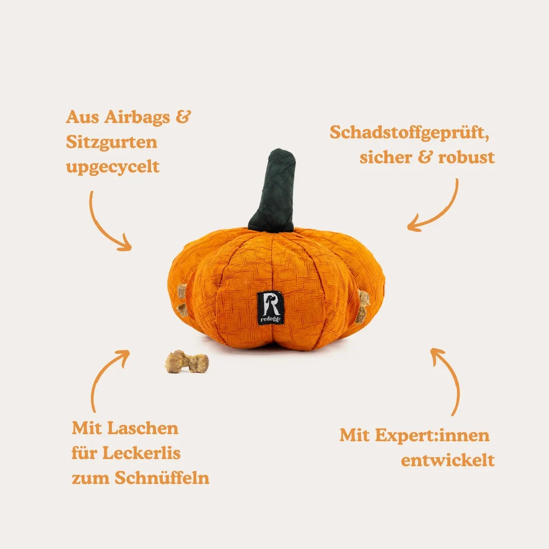 Hundespielzeug Kürbis – robust & interaktiv