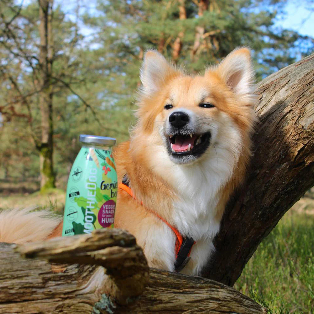 SmoothieDog Gemüsebeet (Veggie)