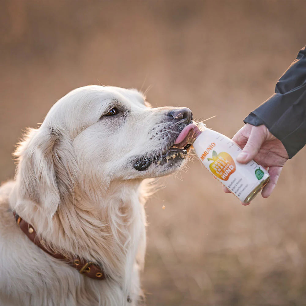 SmoothieDog IMMUNIO Rind