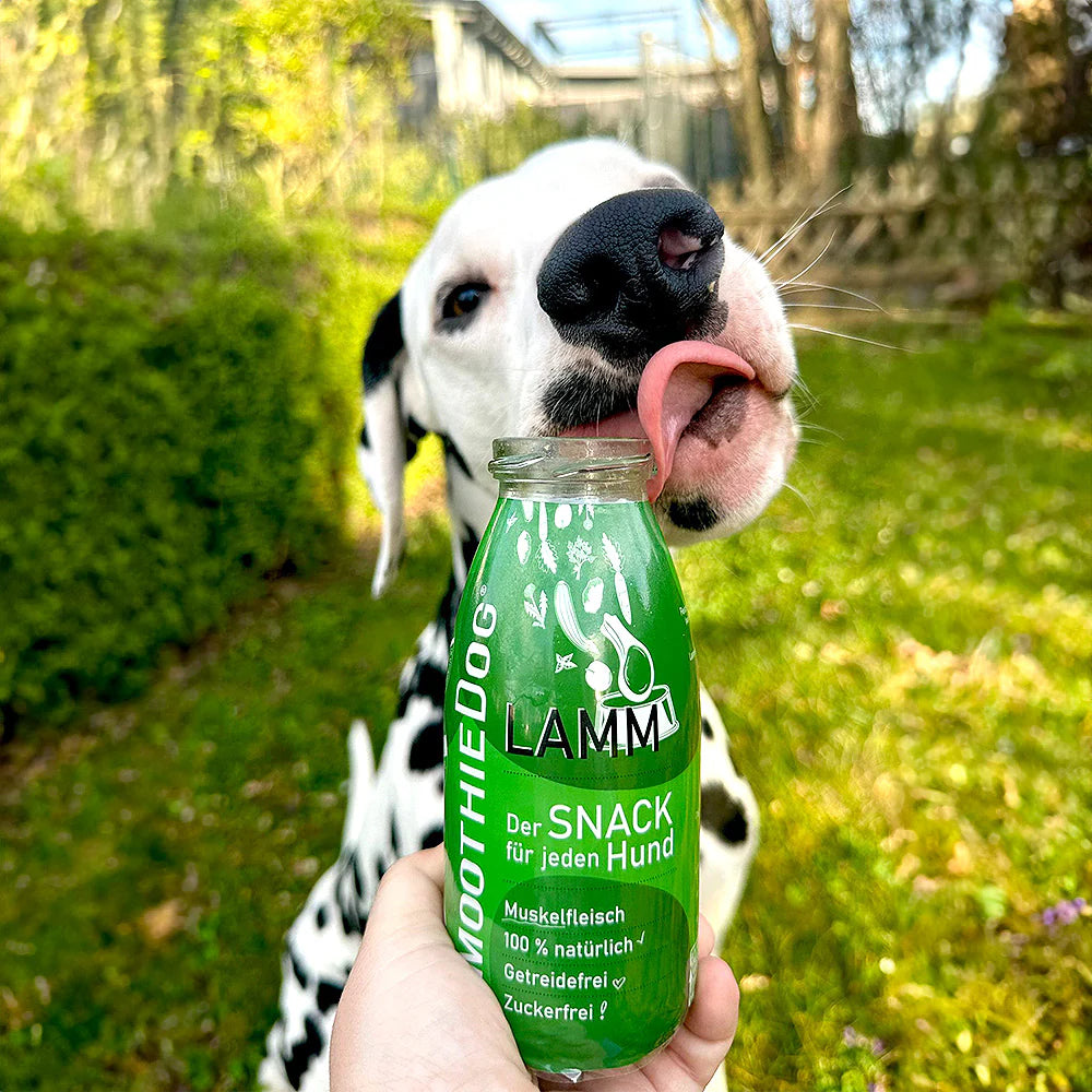 SmoothieDog Smoothie Lamm
