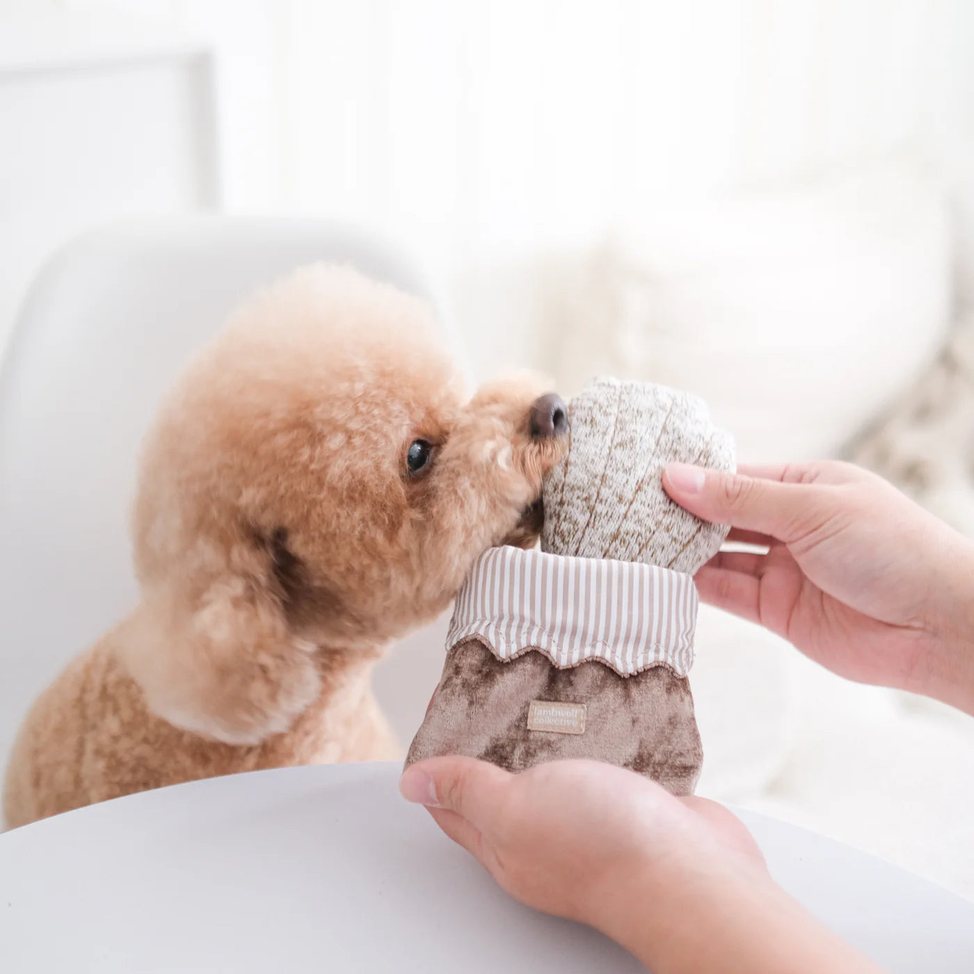 Hund mit Hundespielzeug Schnüffelspielzeug PETITE TWO Macaroon - Lambwolf Collective