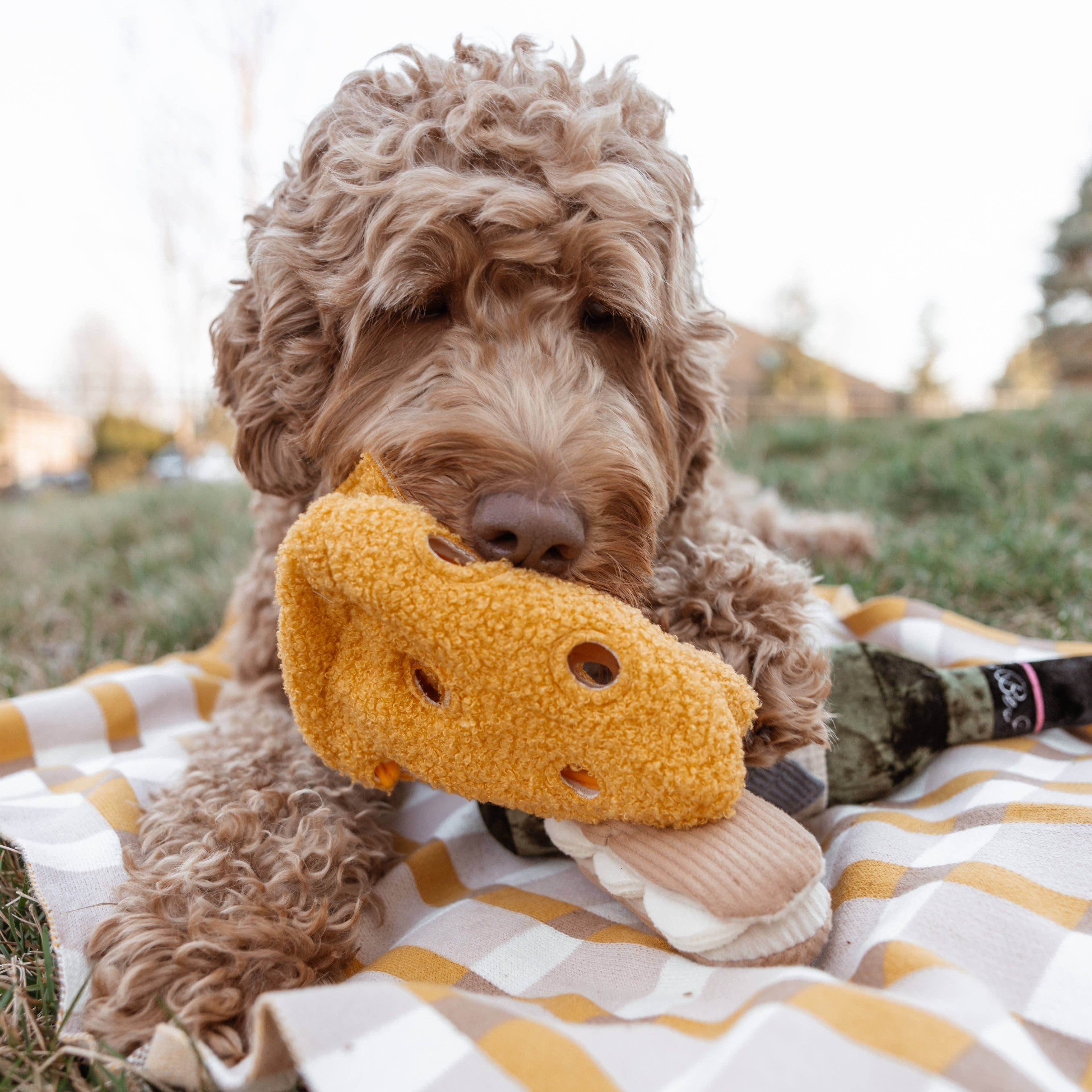 Hund mit Hundespielzeug Schnüffelkäse FROMAGE - Lambwolf Collective