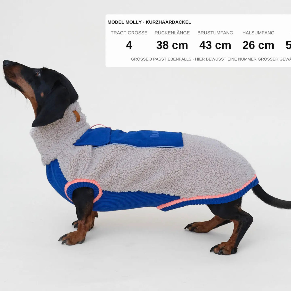 lumiies® Sport Racer Hundepullover aus Teddy-Sherpa-Fleece Royal Alpine