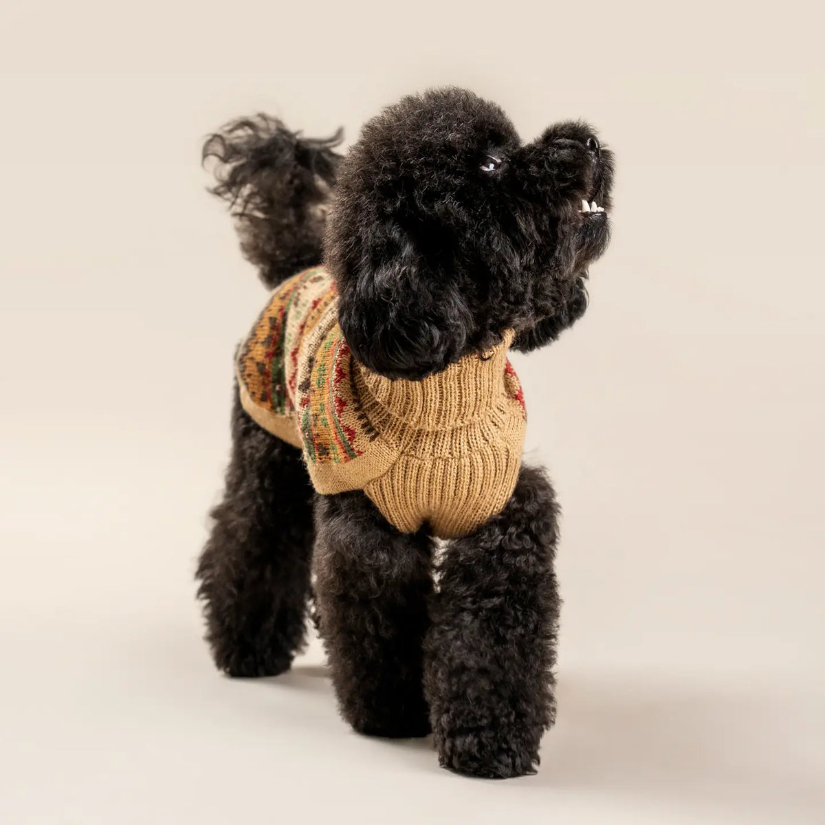 Hundepullover Fair Isle Finn aus Alpaka