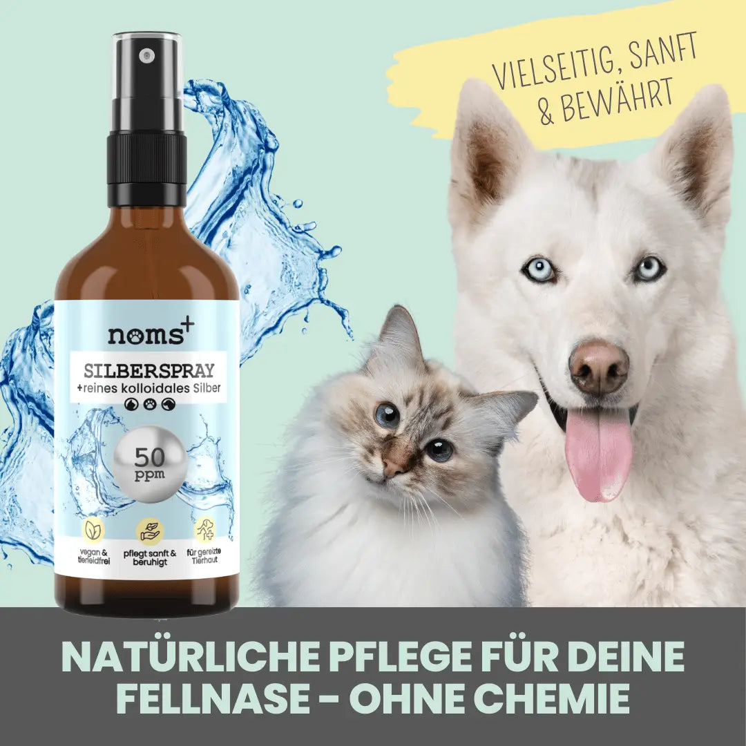 noms+ Silberspray mit 50ppm