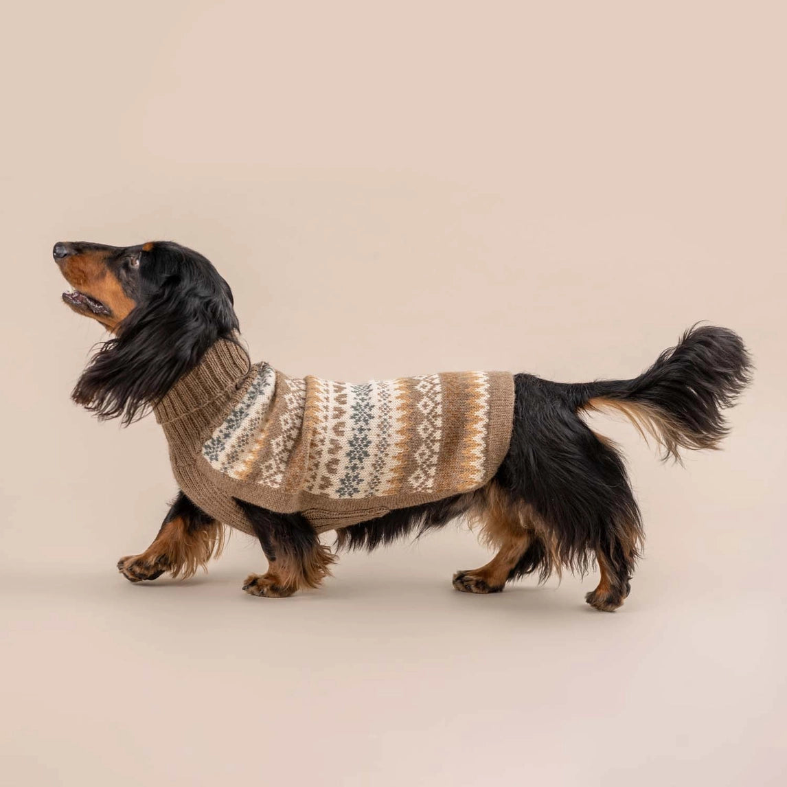 Hundepullover Fall Medley aus Alpaka