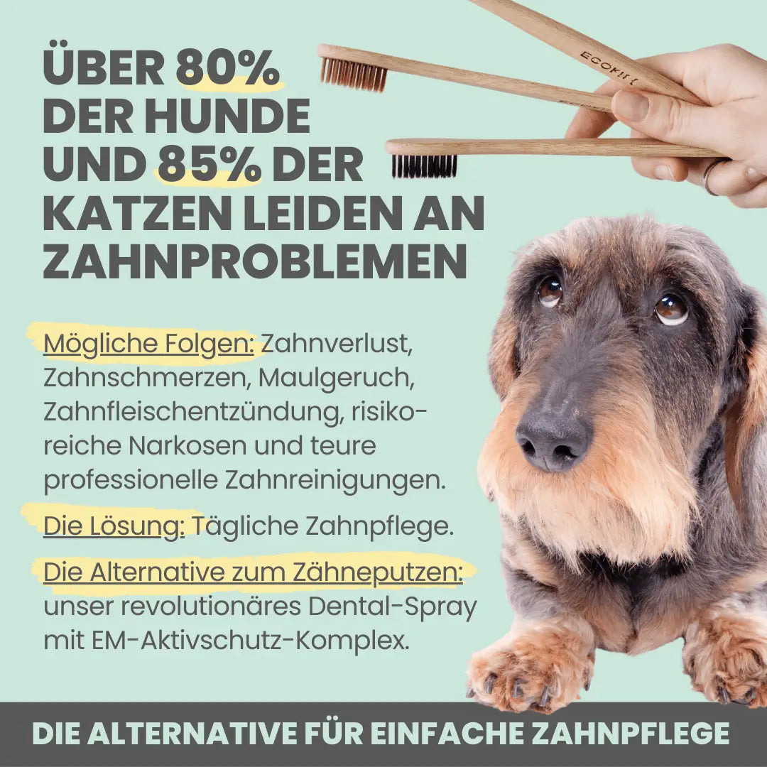 noms+ Dental-Spray bei Zahnstein