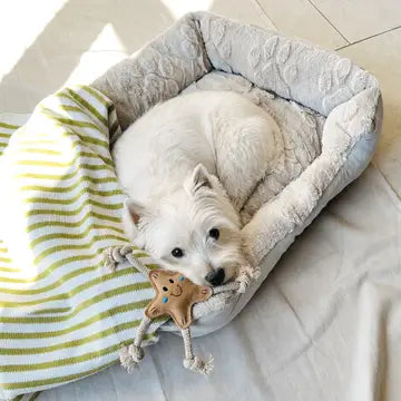 Hundespielzeug STERN Stellina Klein aus Wildleder