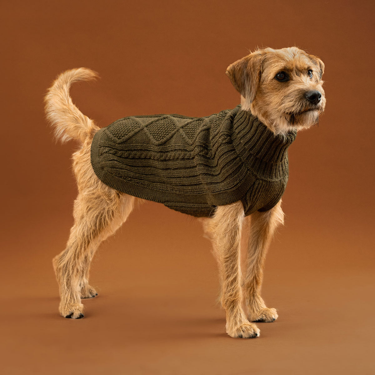 Hundepullover ARAN Diamant in Forest Green aus Alpaka