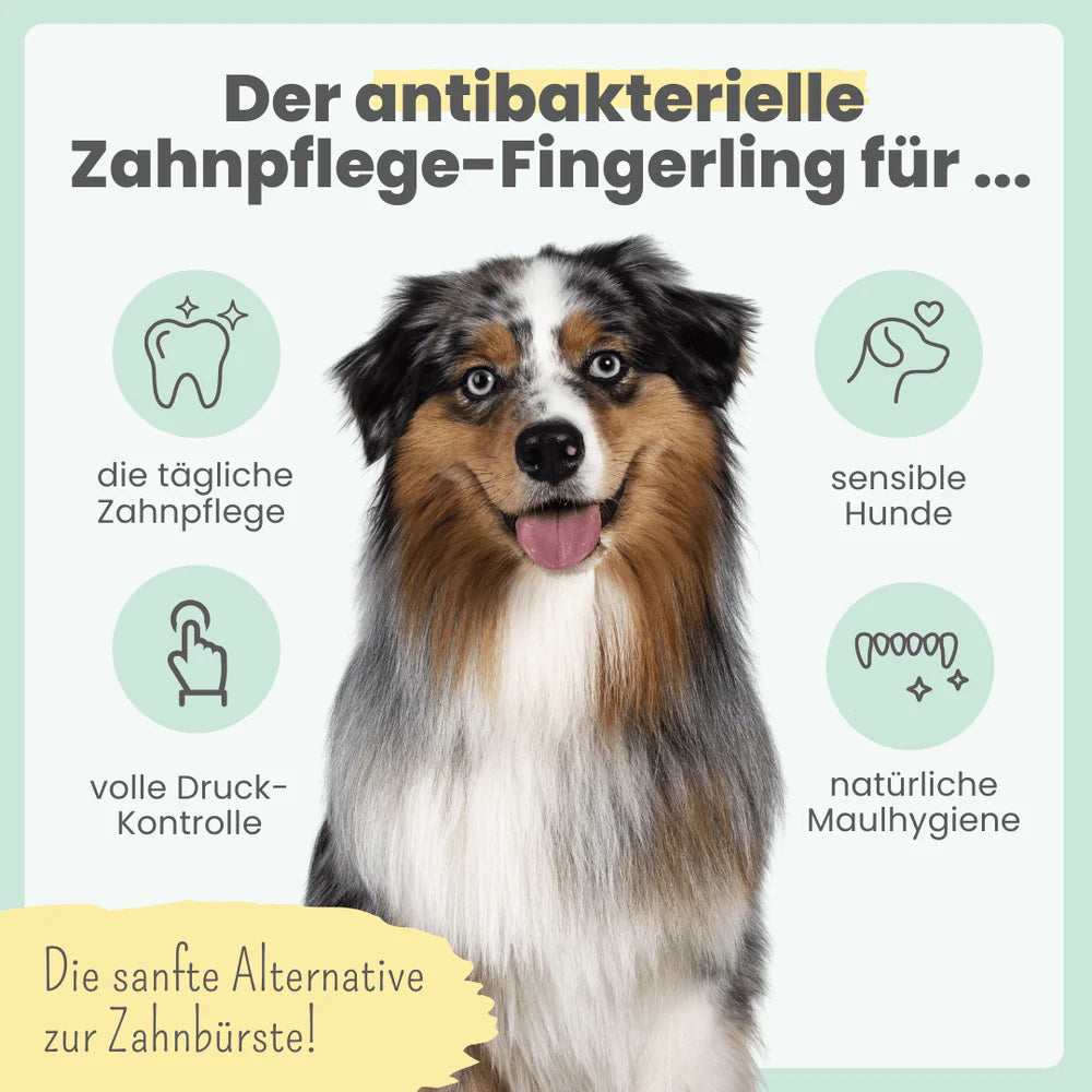 Silberling Antibakterieller Fingerling mit Silberionen