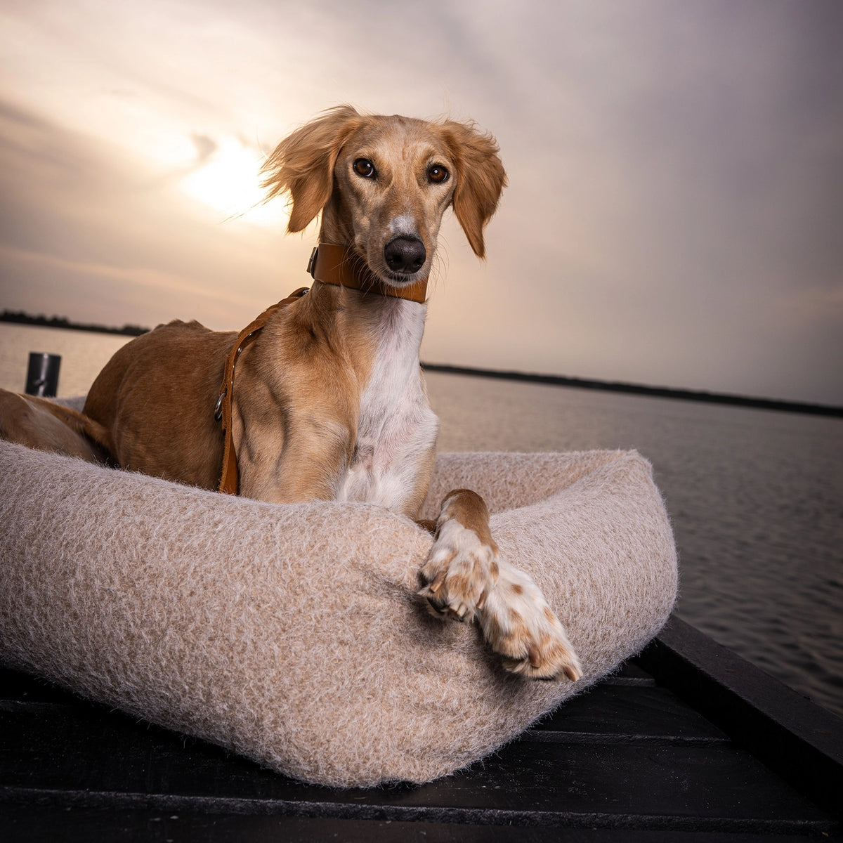 Hundebett FELTRO Beige Walkfilz-Optik