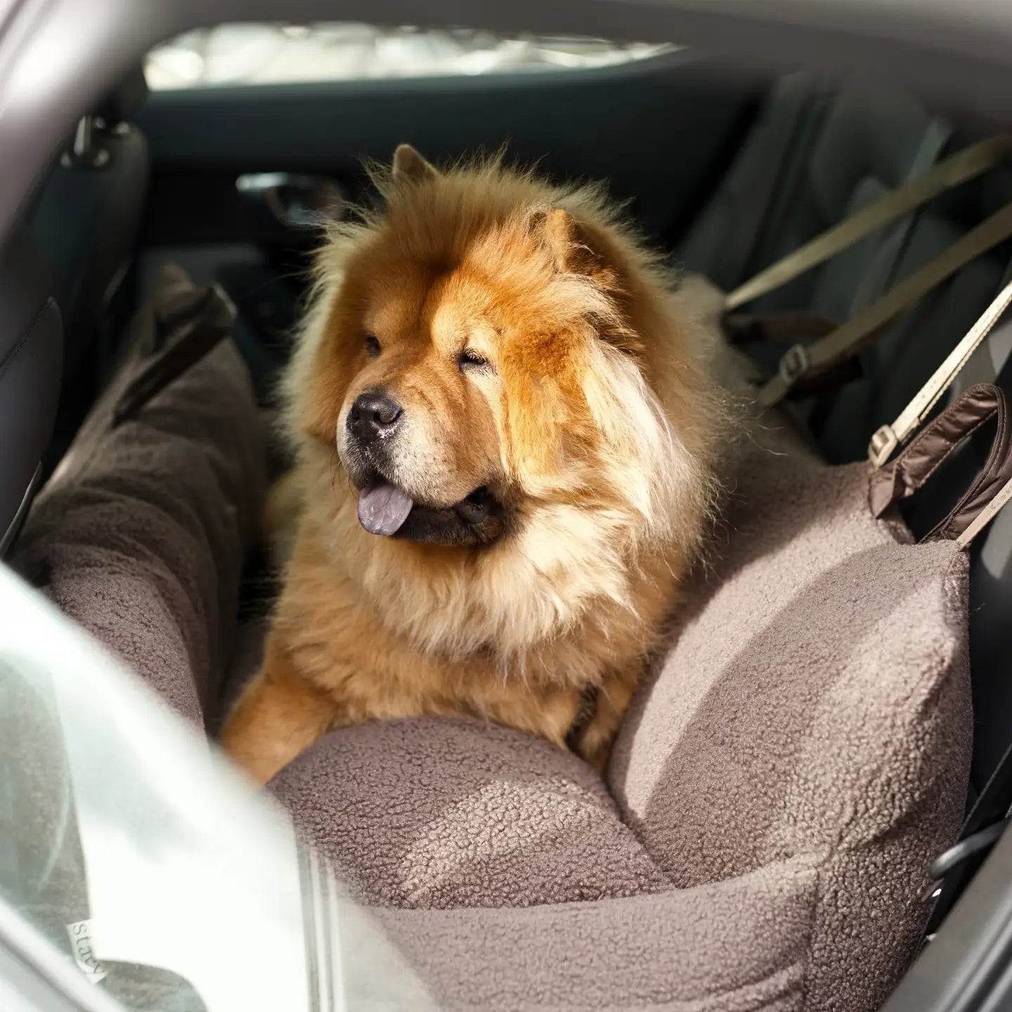 Clara Autositz XXL Teddy Taupe Limitierte Auflage tragbare Tasche