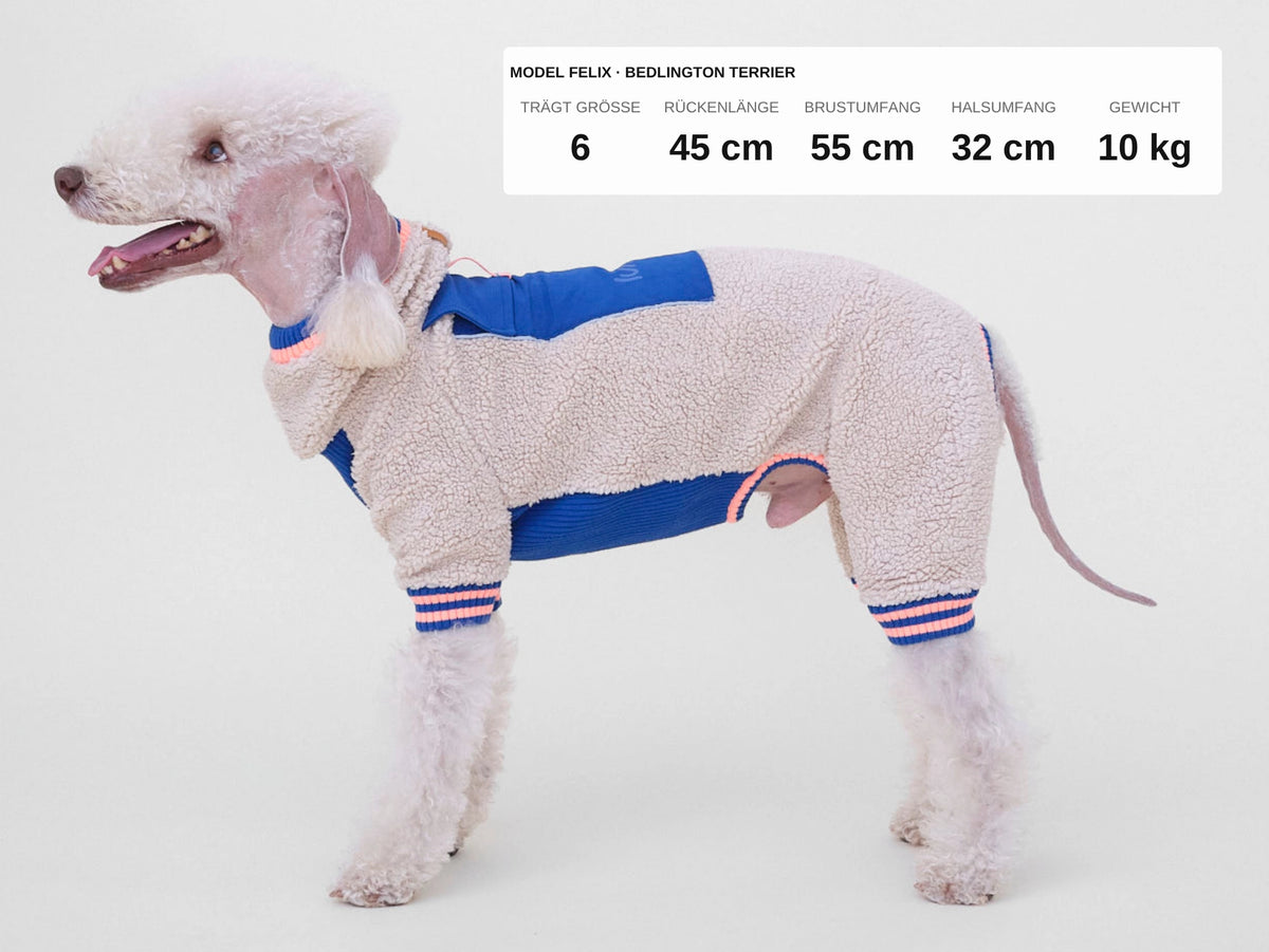 lumiies® Sport Racer Hundeoverall aus Teddy-Sherpa-Fleece Royal Alpine