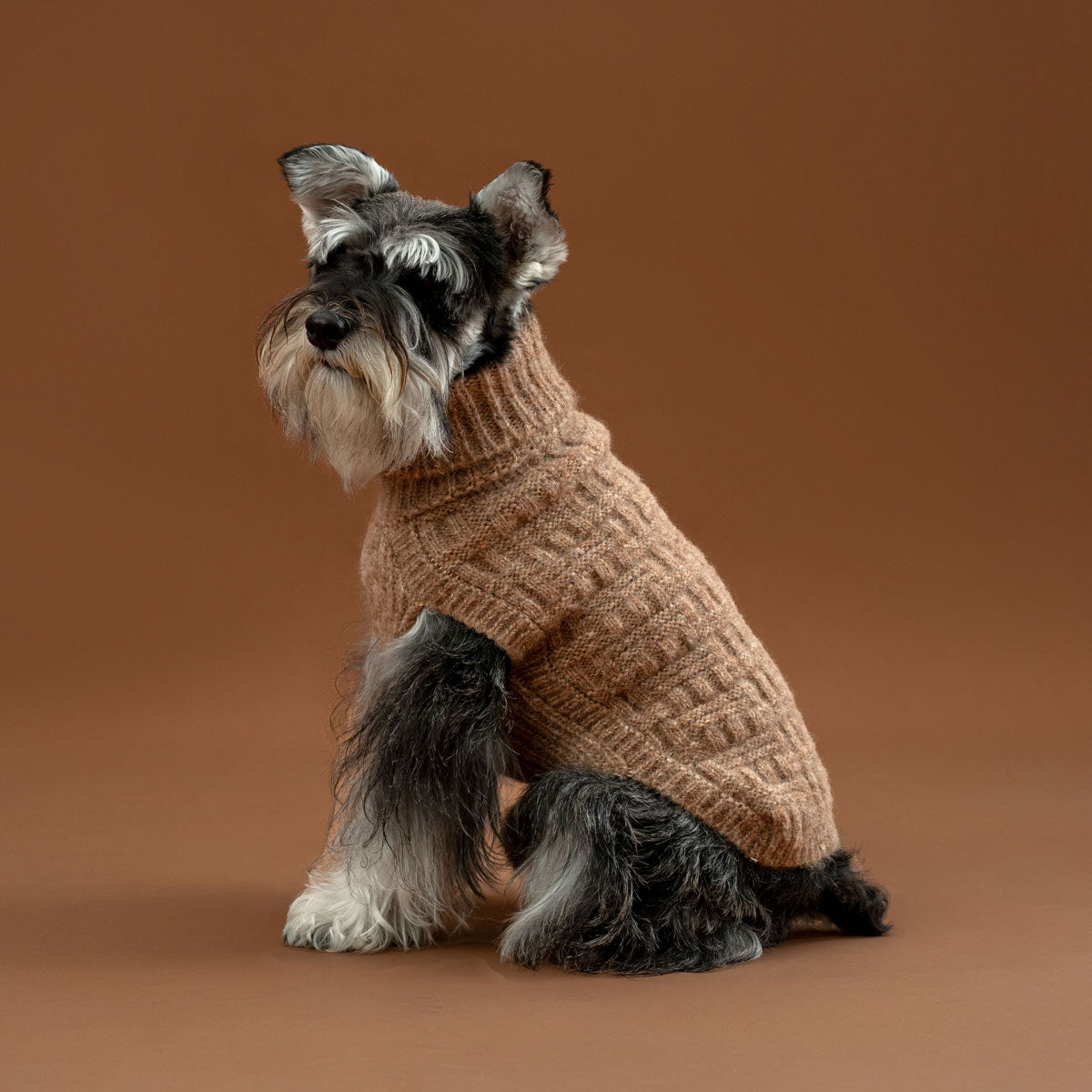 Hundepullover Golden Basket aus Alpaka & Pima-Baumwolle