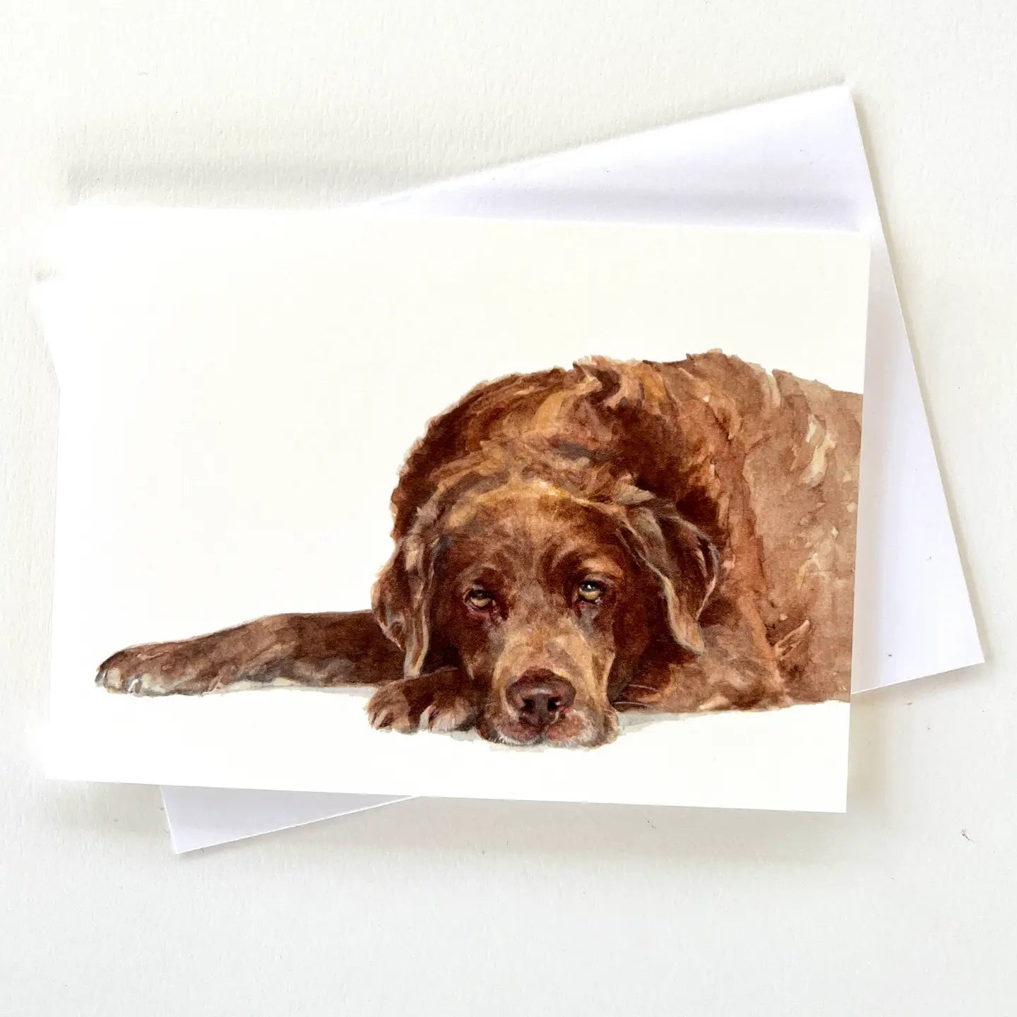 Grußkarte Chocolate Labrador - susel & co.