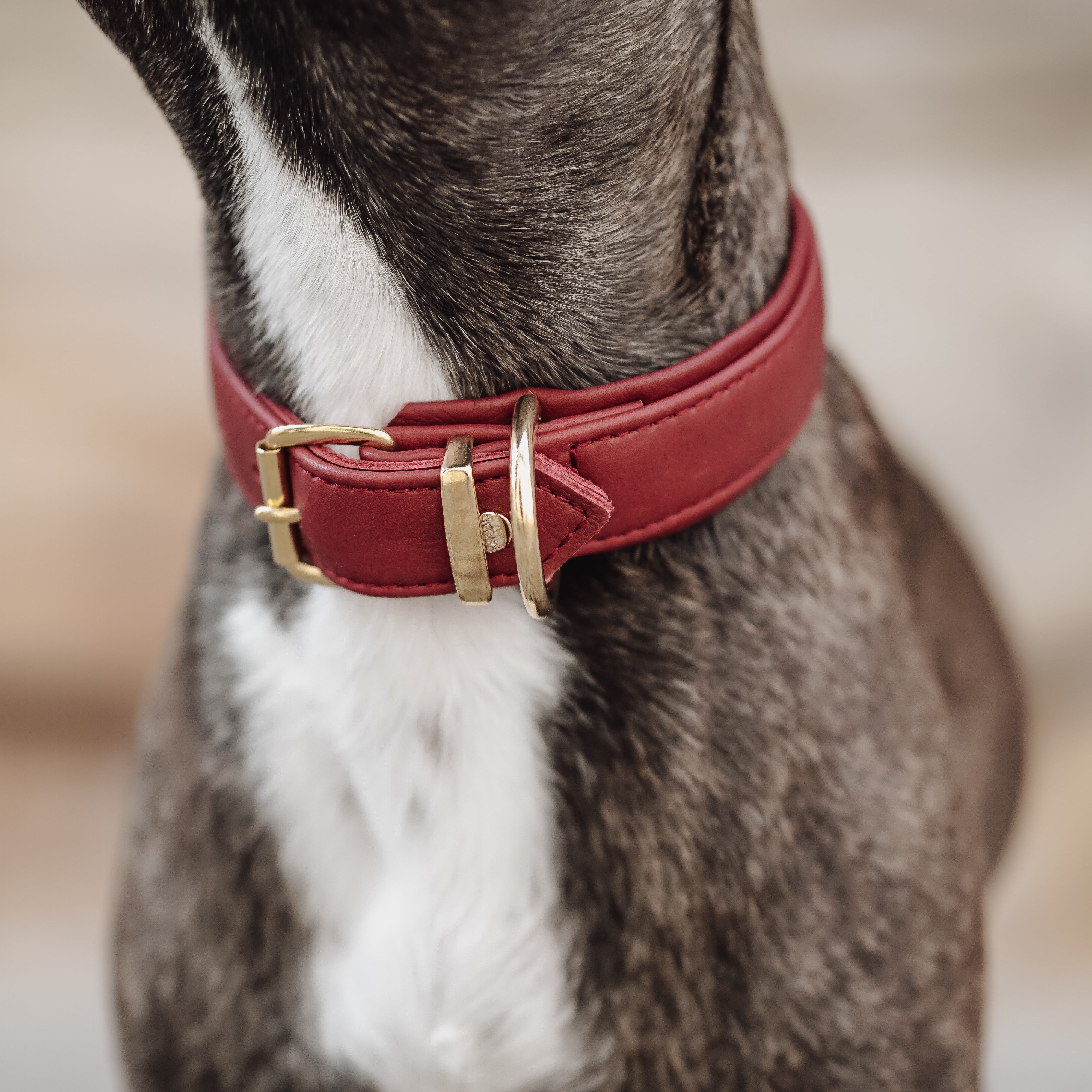 Halsband Klassik Soft Leder Burgundy Gold