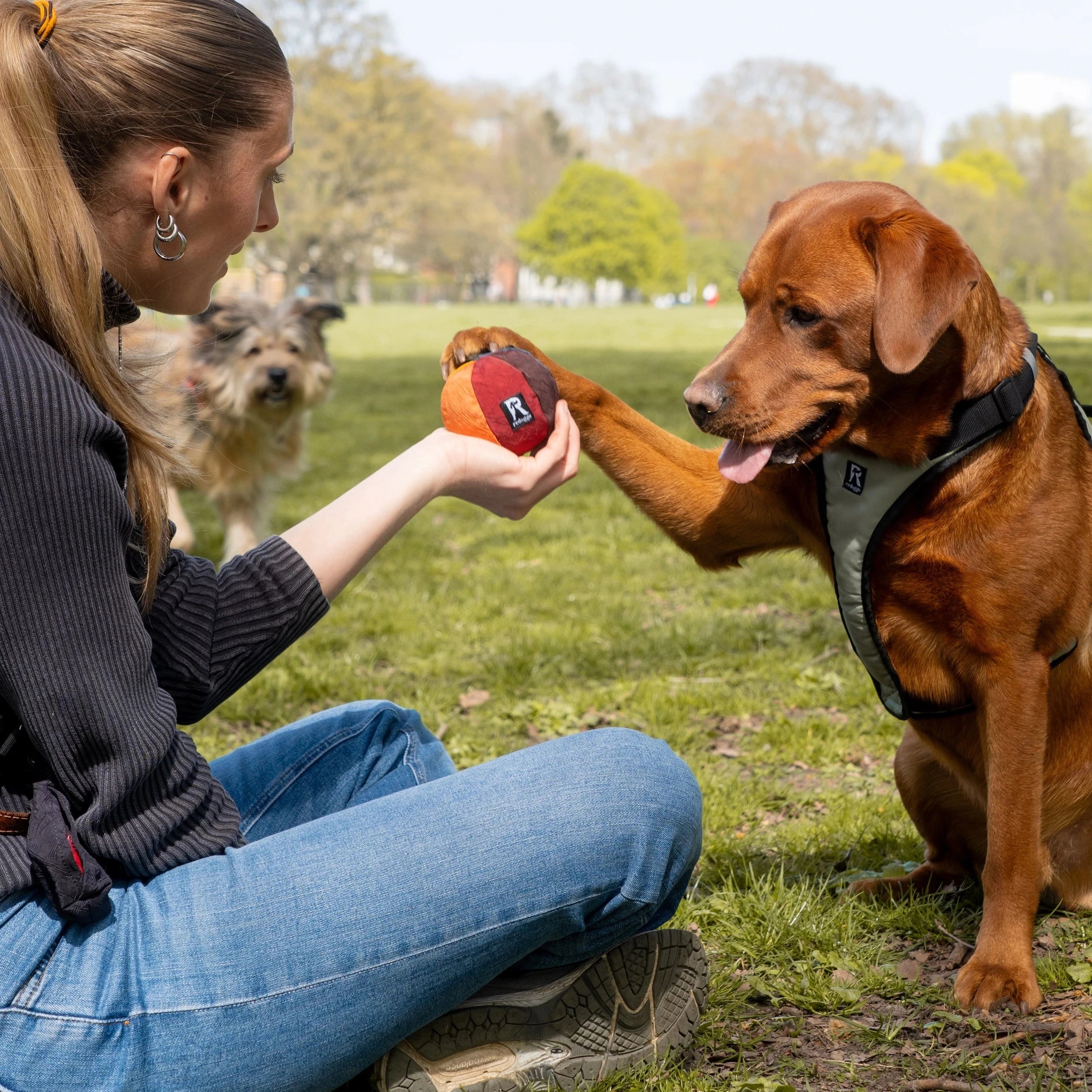 Hundespielzeug Ball – nachhaltig, robust & interaktiv