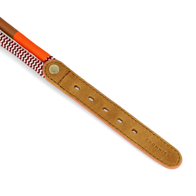 Chommies Adjustable Dog Collar Halsband Summer