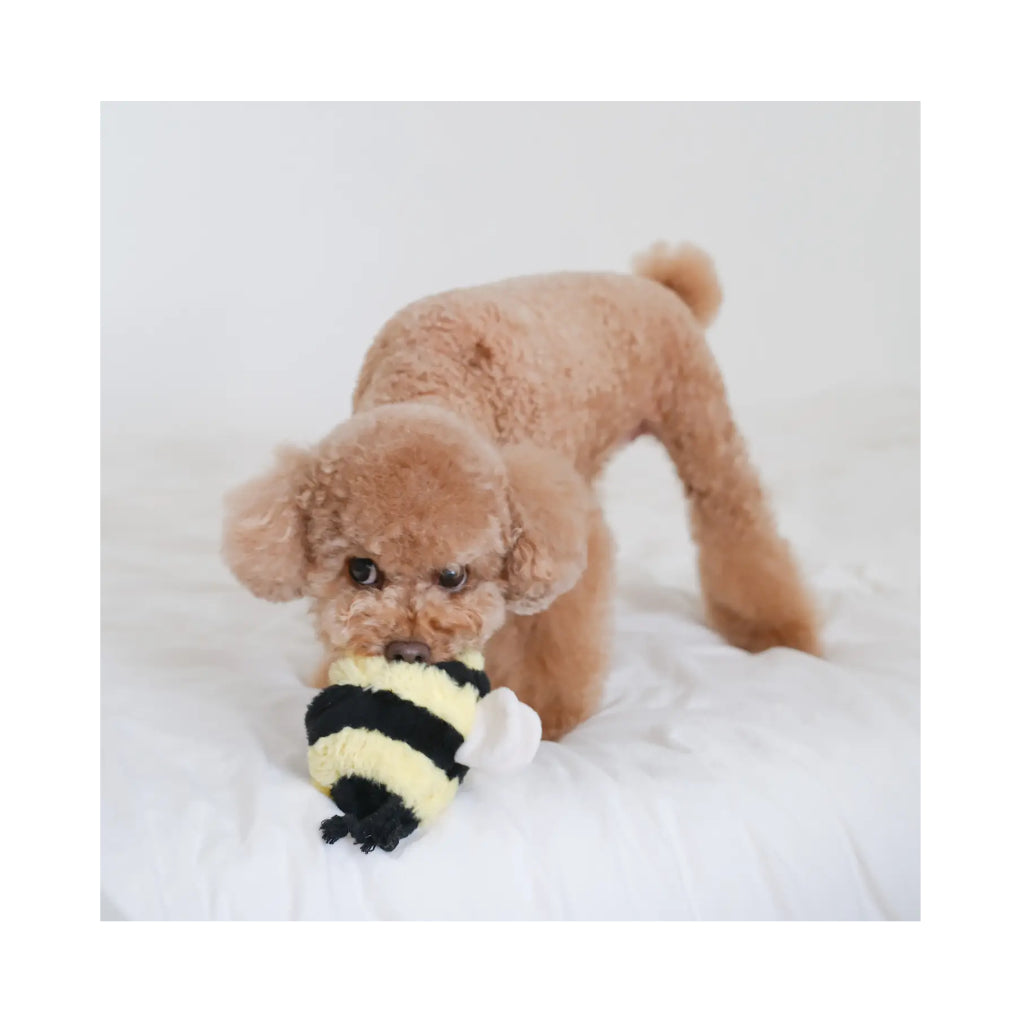 Welpe mit Hundespielzeug Hummel BEE POP - Lambwolf Collective