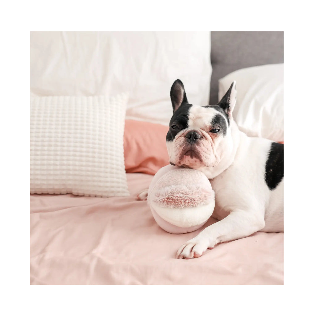 Hund mit Schnüffelball TOTO Rosa - Lambwolf Collective