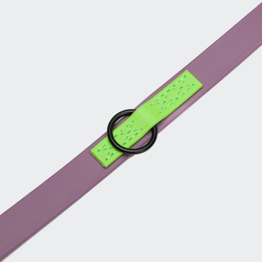 Befestigungsring Cloud7 Hundeleine verstellbar BioThane Ipanema Lilac Neon Green