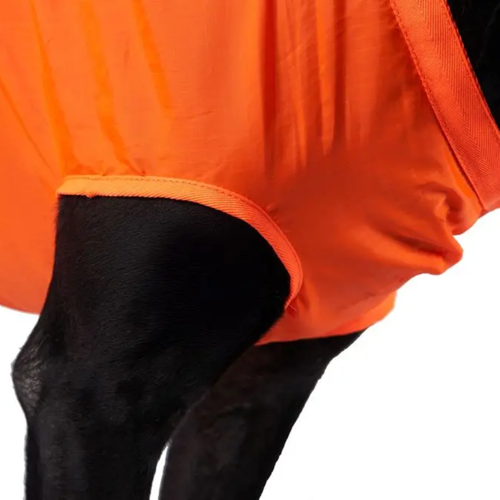 Beinöffnung Hundeausrüstung Dog rescue sling orange - non-stop dogwear