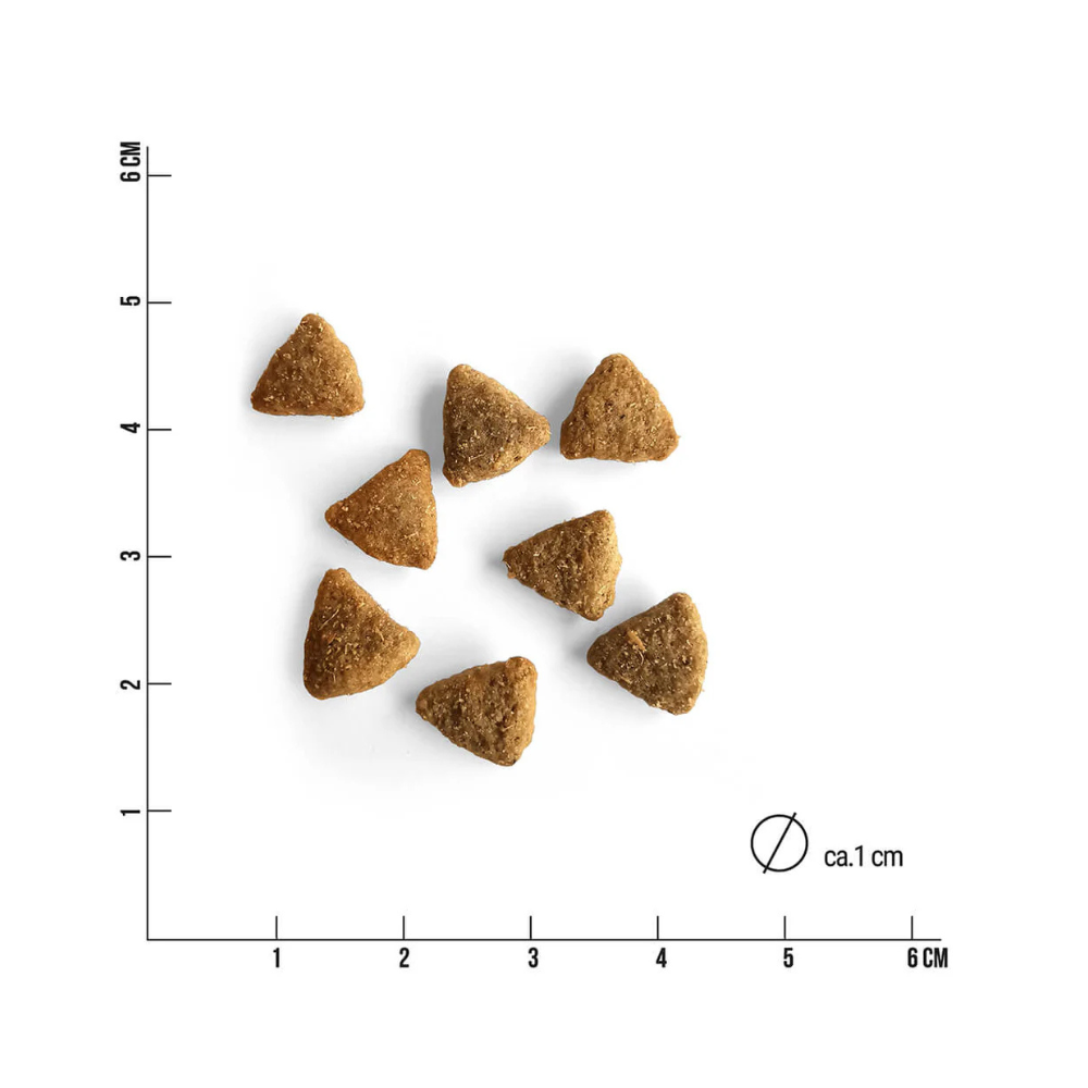 Beispielgröße PROBE softes Trockenfutter FISCH IM KOPP? - Tales & Tails