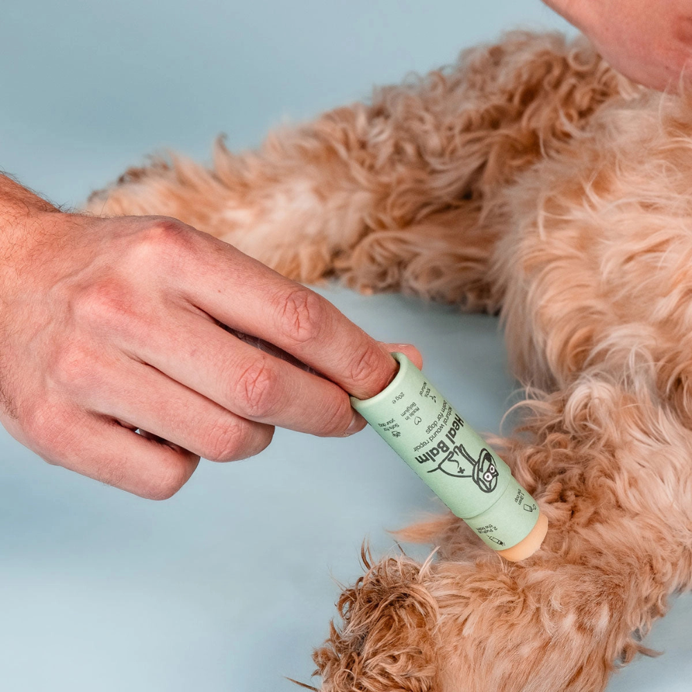 Benutzung Heilbalsam Pflegestift für Hunde - Butchcare