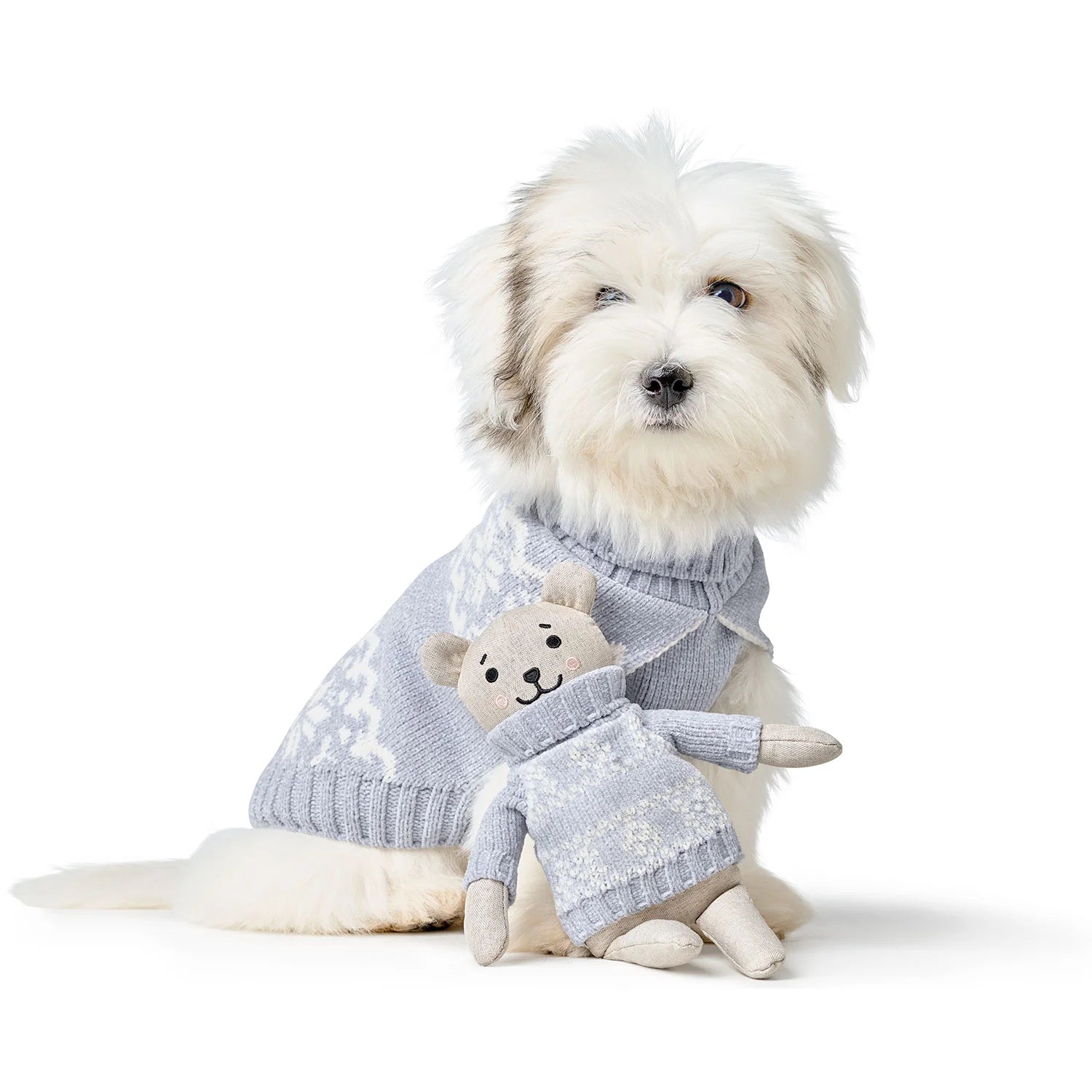 Hund hinter Hundespielzeug BIRKA Bär Hellblau - Hunter