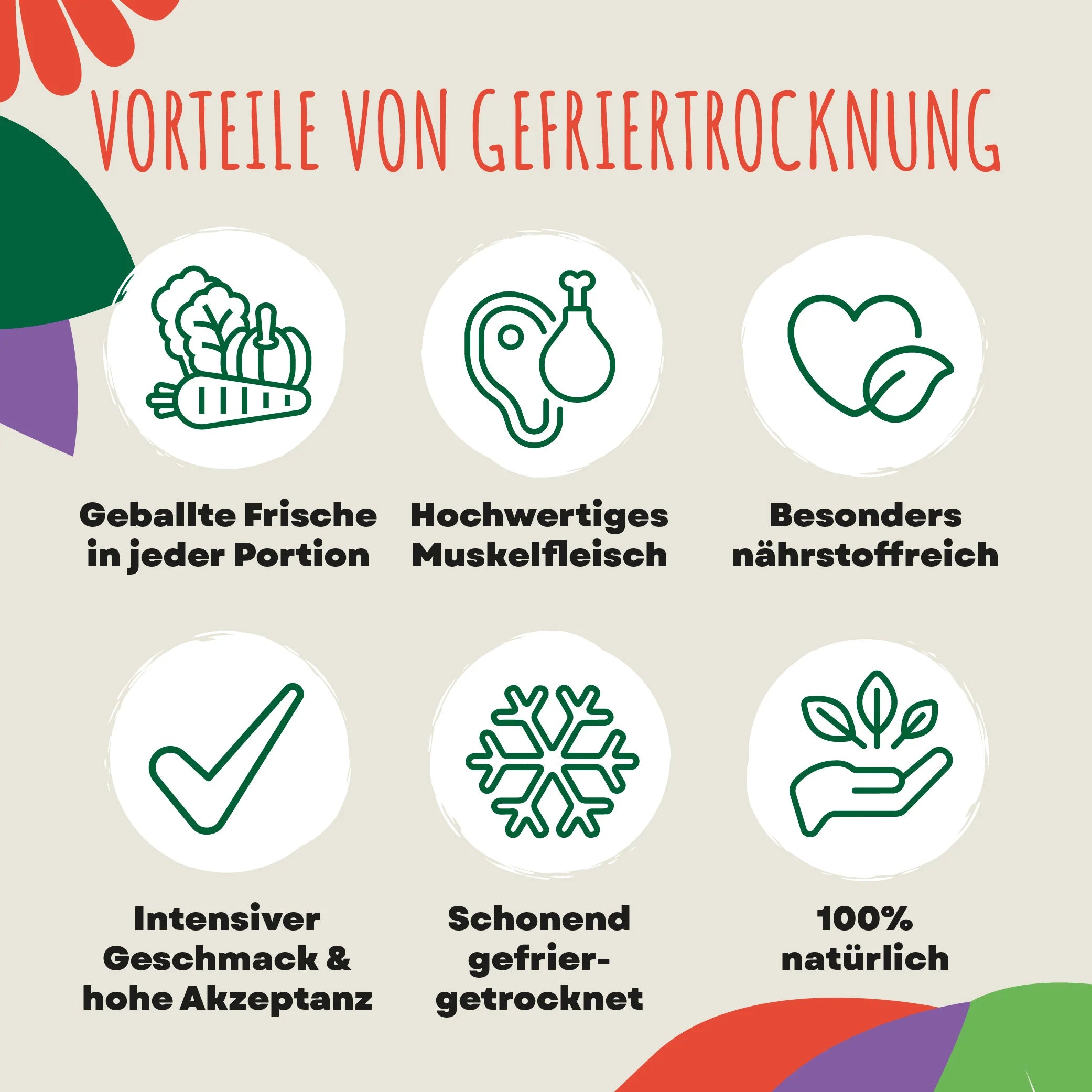 SmoothieDog Bites Rind gefriergetrocknet