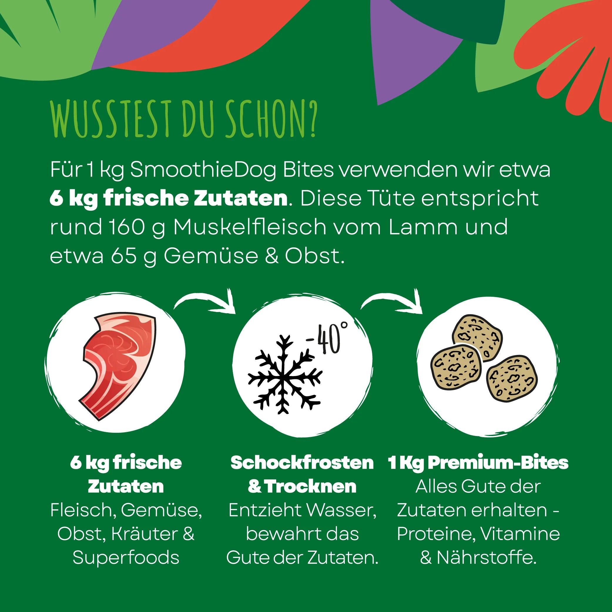 SmoothieDog Bites Lamm gefriergetrocknet